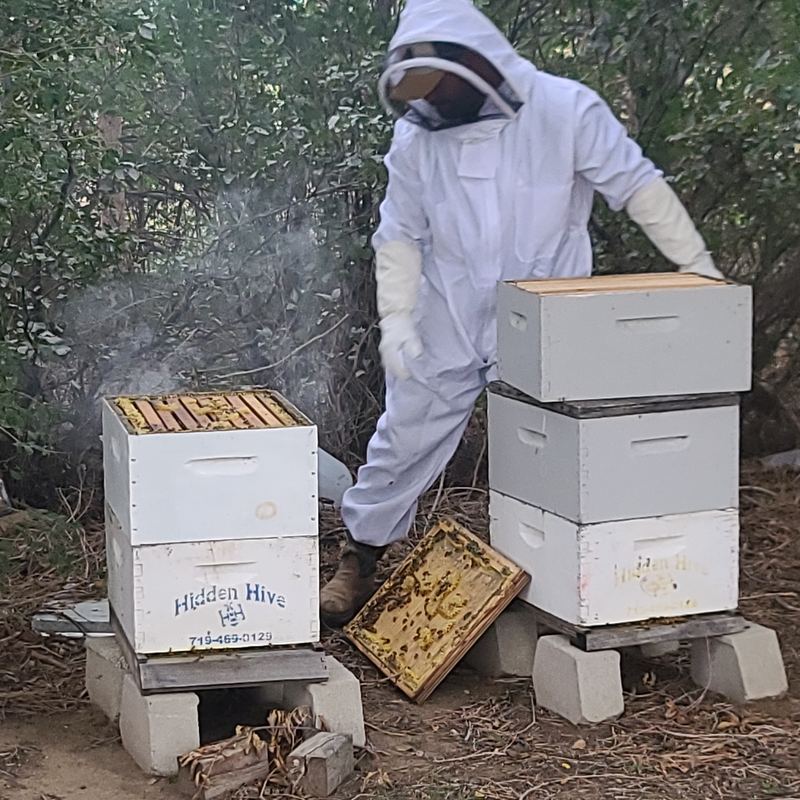 Wesley in a bee suit tending the beehives on the farm