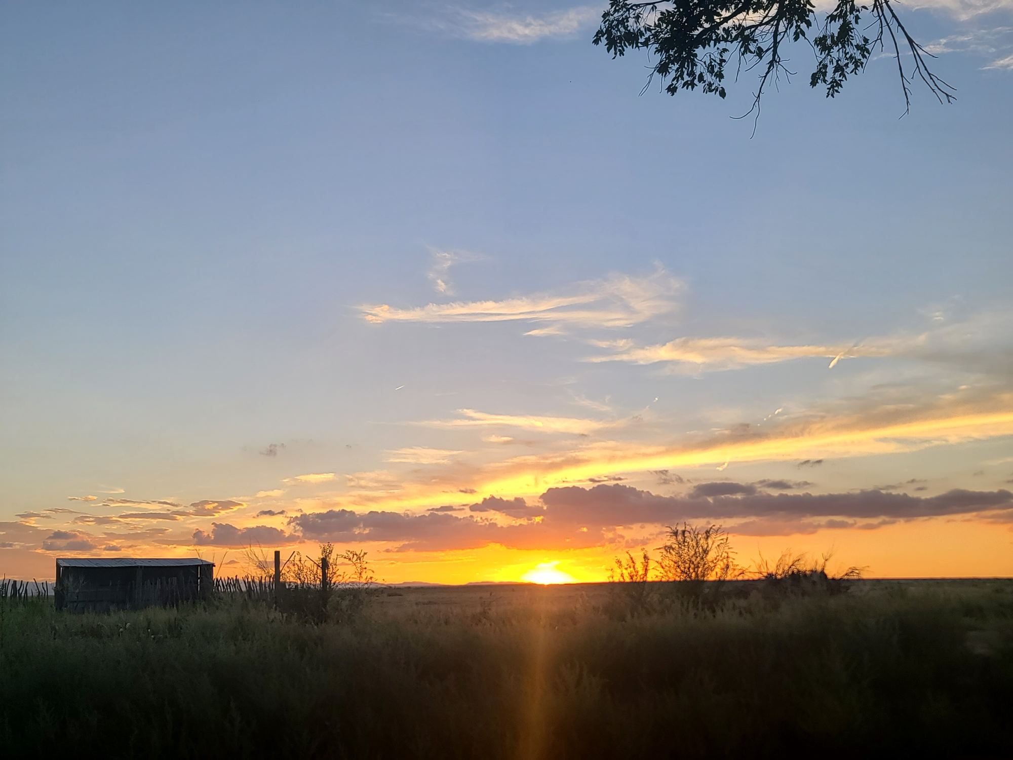 Sunset over the pasture and barn on the farm