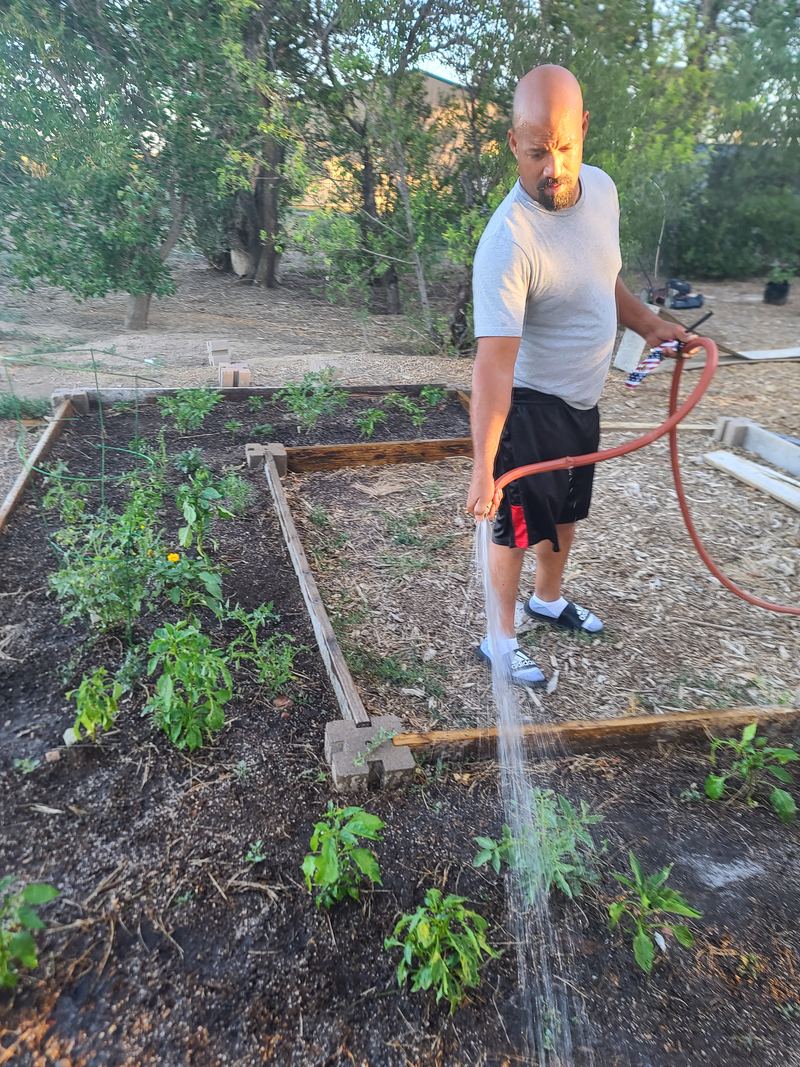 Wesley watering the garden beds